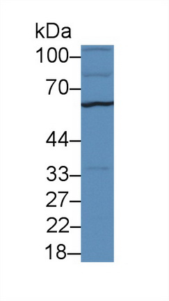 13836