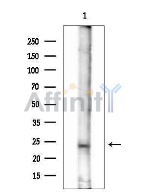 Валидация Affinity DF15823 - 12319