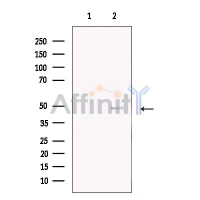 Валидация Affinity DF13328 - 8504