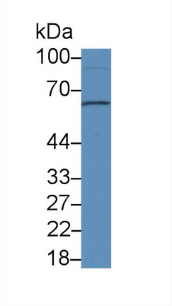 13835