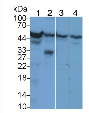21180