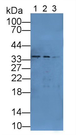 11963