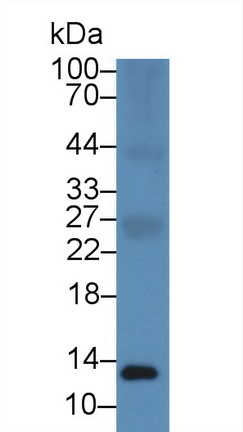 13951