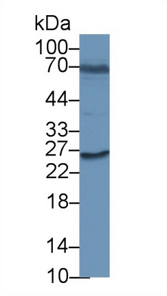 13280