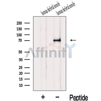 Валидация Affinity DF13088 - 7973