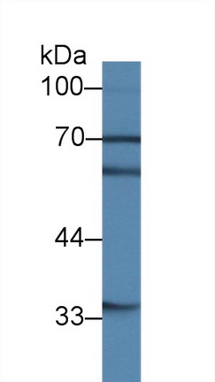 14346