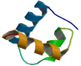 V-Myb Myeloblastosis Viral Oncogene Homolog (MYB)