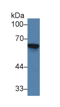 9398