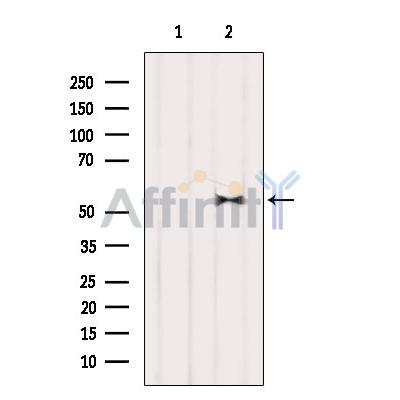 Валидация Affinity AF6433 - 3742