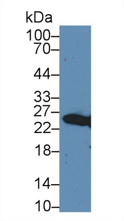 13489