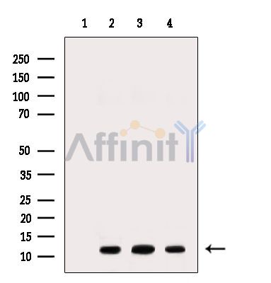 Валидация Affinity DF9663 - 22414