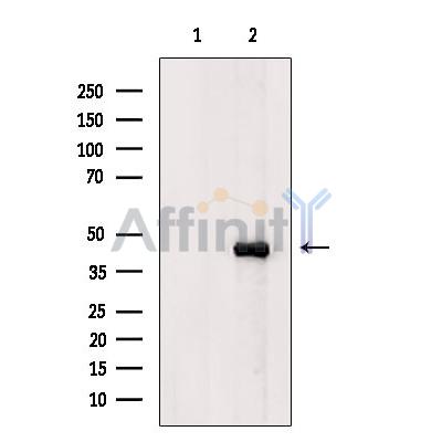 Валидация Affinity DF4309 - 15735
