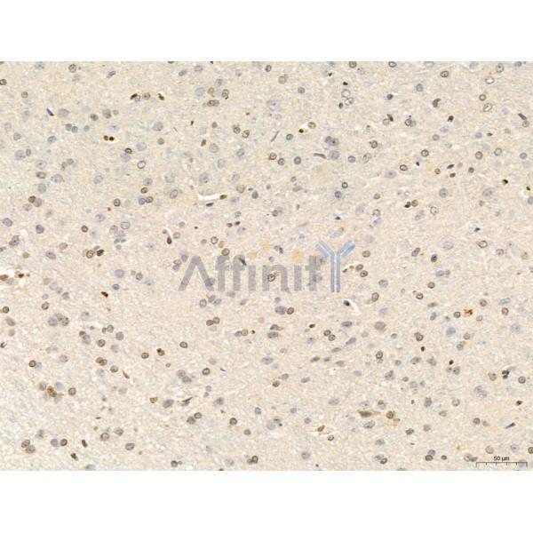 Валидация Affinity DF12126 - 6280