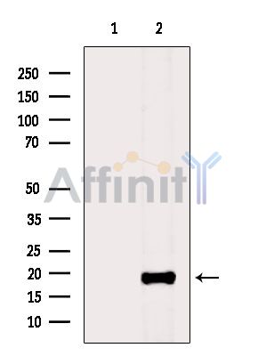 Валидация Affinity DF10183 - 5730