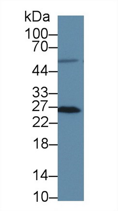 8757