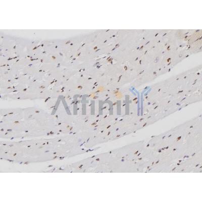 Валидация Affinity DF3195 - 14013