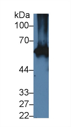 13976