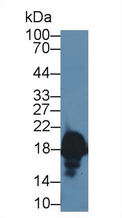 12644