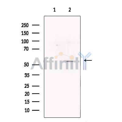 Валидация Affinity DF13235 - 8283