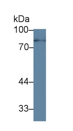 8850