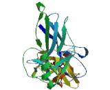 V-Rel Reticuloendotheliosis Viral Oncogene Homolog A (RELA)