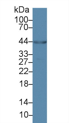 10282