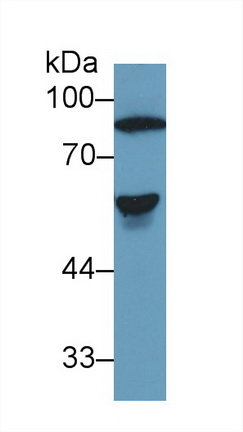14940