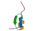 Zinc Finger Protein 195 (ZNF195)