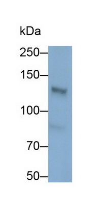 6789