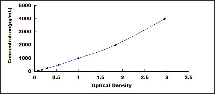 50219