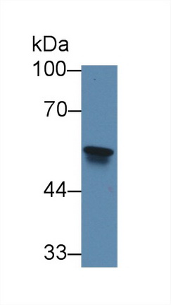 12821