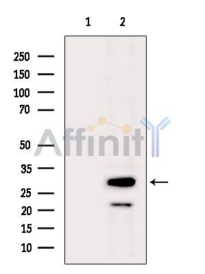 Валидация Affinity DF7130 - 18779