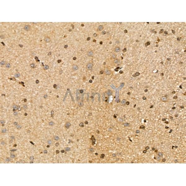 Валидация Affinity DF13149 - 8102