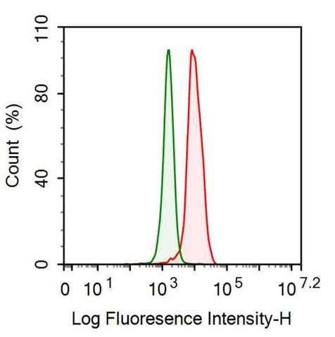 32206