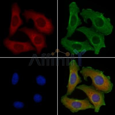 Валидация Affinity DF2675 - 13380