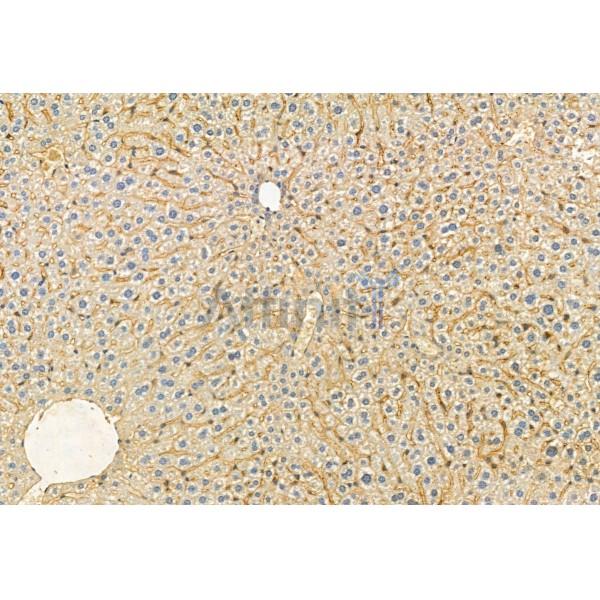 Валидация Affinity DF12073 - 6149