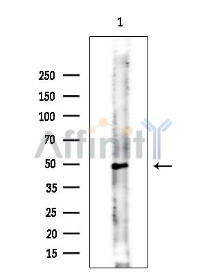 Валидация Affinity DF15423 - 11757