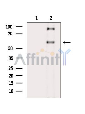 Валидация Affinity DF16011 - 12554