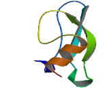 WAP, Follistatin/Kazal, Immunoglobulin, Kunitz And Netrin Domain Containing Protein 2 (WFIKKN2)