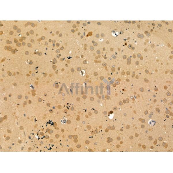 Валидация Affinity DF13283 - 8399