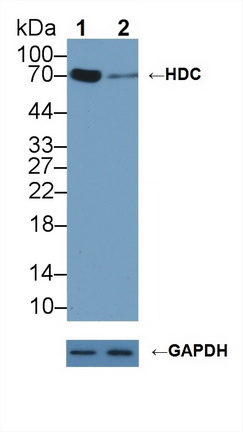 12200