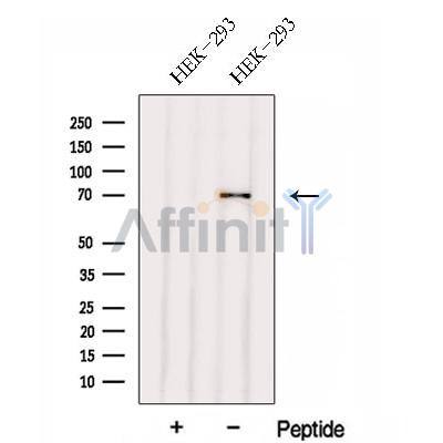 Валидация Affinity DF13012 - 7807