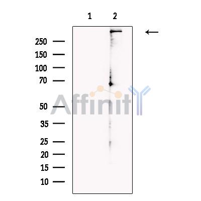 Валидация Affinity DF13658 - 9220