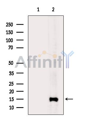 Валидация Affinity DF9906 - 22876