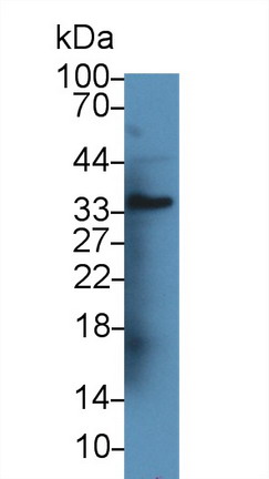 9829