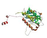 Mitogen Activated Protein Kinase Activated Protein Kinase 2 (MAPKAPK2)