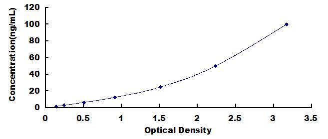 42044