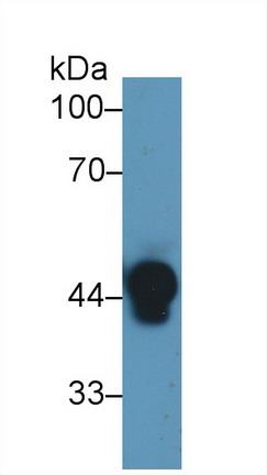 9473
