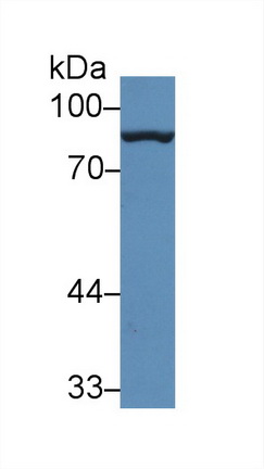 13849