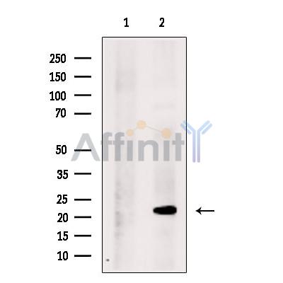 Валидация Affinity DF13322 - 8491